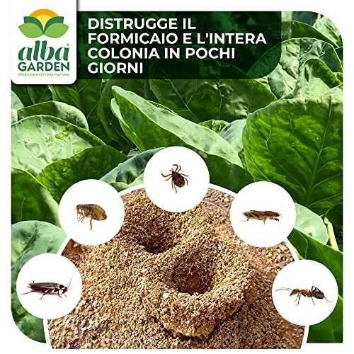 Albagarden - Albakill Esca Anti Formiche Orto e Giardino - Insetticida Micro Granulare Per Ambienti Esterni - Scarafaggi Blatte Grillotalpa Insetti Pulci Zecche - Solubile Spray Antiformiche x 1 Kg