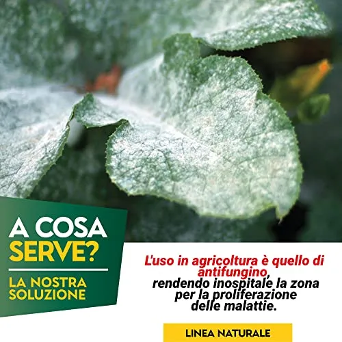 Albagarden - Bicarbonato Di Potassio Bio Per Agricoltura Naturale E Piante - Disacidan Effetto Fungicida Contro Oidio Muffa Grigia Peronospora Monilia Ticchiolatura Bolla Del Pesco Marciume X 250 Gr