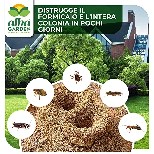 Albagarden - Antax Esca Anti Formiche Veleno Insetticida Micro Granulare Casa Giardino Prato Verde Scarafaggi Grillotalpa Insetti Pulci Zecche Pesciolini D'Argento Solubile Spray Antiformiche x 1 Kg