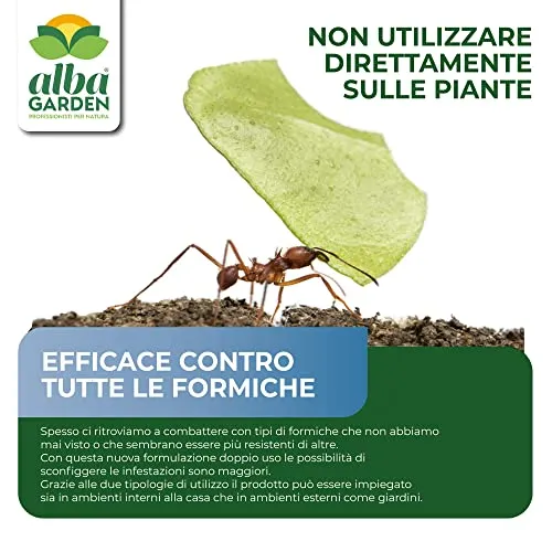 Albagarden - Antax Esca Anti Formiche Veleno Insetticida Micro Granulare Casa Giardino Prato Verde Scarafaggi Grillotalpa Insetti Pulci Zecche Pesciolini D'Argento Solubile Spray Antiformiche x 1 Kg