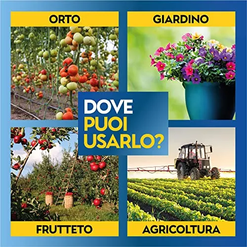 Albagarden Bacillus Thuringiensis Kurstaki Insetticida Piante Biologico - Contro Parassiti, Insetti, Larve Dell'orto E Giardino, polvere x 100 gr