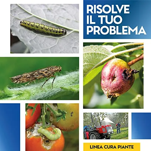 Albagarden Bacillus Thuringiensis Kurstaki Insetticida Piante Biologico - Contro Parassiti, Insetti, Larve Dell'orto E Giardino, polvere x 100 gr