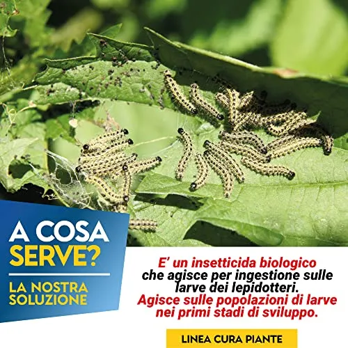 Albagarden Bacillus Thuringiensis Kurstaki Insetticida Piante Biologico - Contro Parassiti, Insetti, Larve Dell'orto E Giardino, polvere x 100 gr