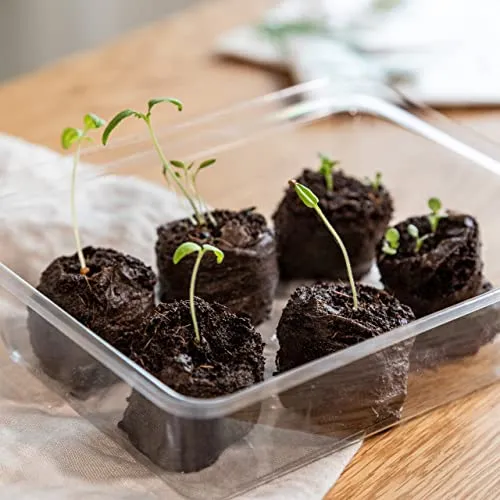 OwnGrown Compresse Terriccio Di Cocco Con Sostanze Nutritive - 40 Pezzi, senza Ripicchettare e senza Torba - Terriccio Fibra Di Cocco Per Orchidee, Bonsai, Piante grasse, Verdi, Da Interno