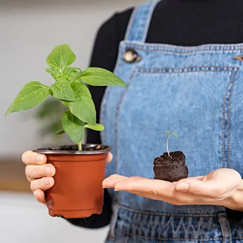 OwnGrown Compresse Terriccio Di Cocco Con Sostanze Nutritive - 40 Pezzi, senza Ripicchettare e senza Torba - Terriccio Fibra Di Cocco Per Orchidee, Bonsai, Piante grasse, Verdi, Da Interno