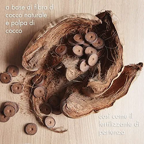 OwnGrown Compresse Terriccio Di Cocco Con Sostanze Nutritive - 40 Pezzi, senza Ripicchettare e senza Torba - Terriccio Fibra Di Cocco Per Orchidee, Bonsai, Piante grasse, Verdi, Da Interno