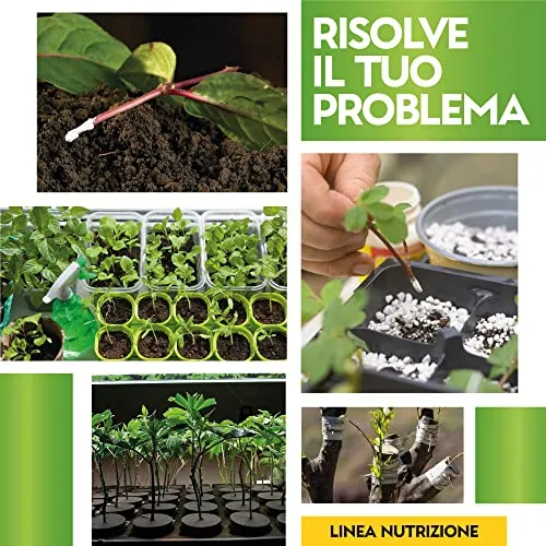 Albagarden Ormone Radicante Per Talee E Piante Verdi Universale - Micorrize Incrementa La Crescita Naturale Delle Radici, Radicante In Polvere Per Talee Erbacee, Legnose E Arbustive - 100 gr
