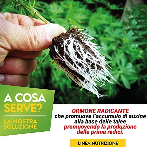Albagarden Ormone Radicante Per Talee E Piante Verdi Universale - Micorrize Incrementa La Crescita Naturale Delle Radici, Radicante In Polvere Per Talee Erbacee, Legnose E Arbustive - 100 gr