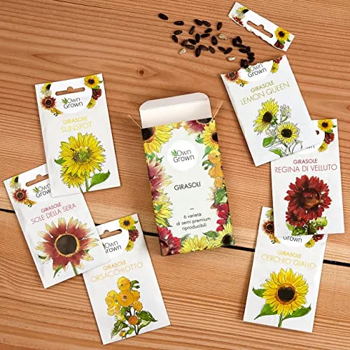 OwnGrown Set Semi di Girasole - 6 Varietà di Semi di Girasole da Piantare - Semi di Girasole Giganti e Piccoli - Semi da Piantare - Semi per Fiori Alti