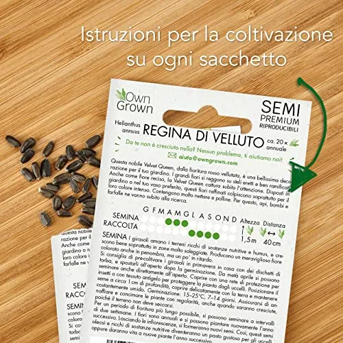 OwnGrown Set Semi di Girasole - 6 Varietà di Semi di Girasole da Piantare - Semi di Girasole Giganti e Piccoli - Semi da Piantare - Semi per Fiori Alti
