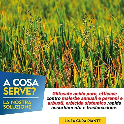 Albagarden - Diserbante Totale Glifosate Gliphogan Top Erbicida Per Diserbo Erbacce Ad Azione Disseccante Seccatutto Disserbante Per Gramigna A Base di Glifosato Glyphosate Libera Vendita 2 x 500 Ml