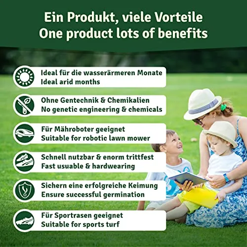 Veddelholzer Sementi resistenti alla siccità per prati aridi & ombrosi semi di prato semi d'erba germinazione veloce ideale come sementi per tappeti erbosi sportivi e i campi