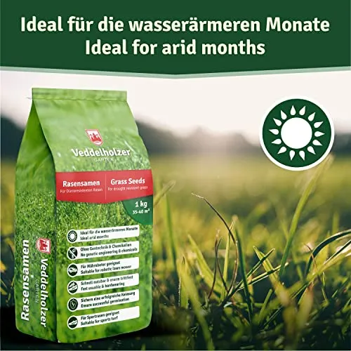 Veddelholzer Sementi resistenti alla siccità per prati aridi & ombrosi semi di prato semi d'erba germinazione veloce ideale come sementi per tappeti erbosi sportivi e i campi