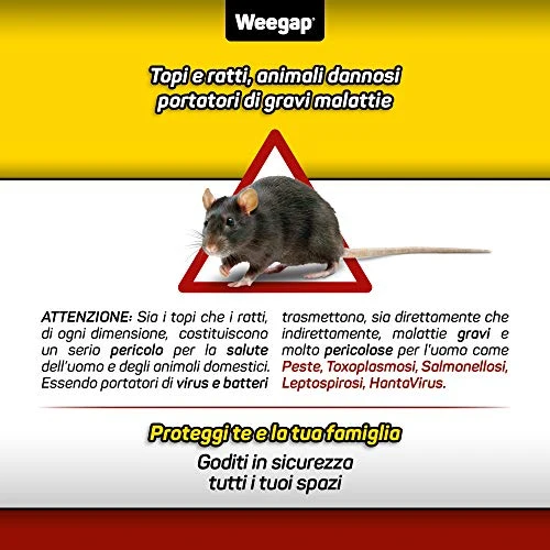 Veleno per Topi e Ratti, Esca Topicida Ratticida Professionale Potente, Novità Aroma all'Anice, Uso Esterno Interno Casa, Disinfestazione Rimedi Eliminare Roditori Azione Forte BlockRat - 300 g