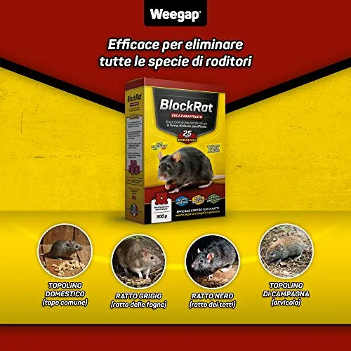 Veleno per Topi e Ratti, Esca Topicida Ratticida Professionale Potente, Novità Aroma all'Anice, Uso Esterno Interno Casa, Disinfestazione Rimedi Eliminare Roditori Azione Forte BlockRat - 300 g
