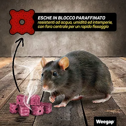 Veleno per Topi e Ratti, Esca Topicida Ratticida Professionale Potente, Novità Aroma all'Anice, Uso Esterno Interno Casa, Disinfestazione Rimedi Eliminare Roditori Azione Forte BlockRat - 300 g