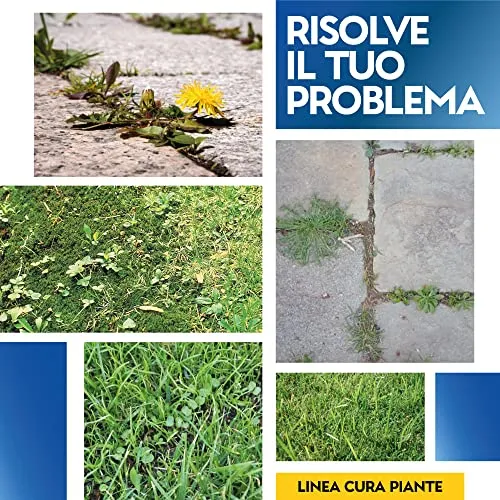Albagarden - Diserbante Totale Glifosate Gliphogan Top Erbicida Per Diserbo Erbacce Ad Azione Disseccante Seccatutto Disserbante Per Gramigna A Base di Glifosato Glyphosate Libera Vendita x 500 Ml