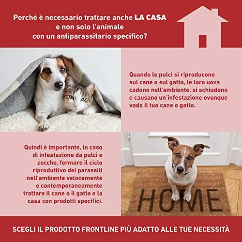 FRONTLINE Homegard Spray Insetticida, Antipulci per Ambienti ad Azione Rapida, Protegge Mobili e Tessili di Casa, Elimina Pulci, Zecche, Uova e Larve fino a 6 mesi, Formato 250 ml