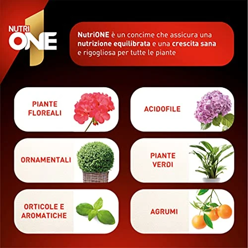 NUTRI 1 ONE NutriONE Concime concentrato per Piante e Fiori, 1 litro, 1000 unità