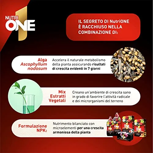 NUTRI 1 ONE NutriONE Concime concentrato per Piante e Fiori, 1 litro, 1000 unità