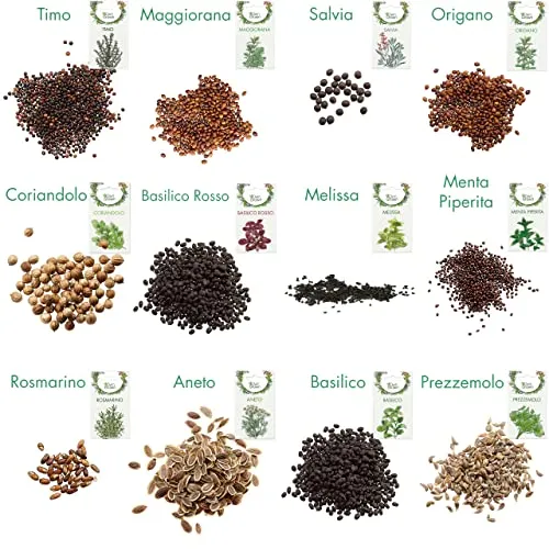 Owngrown - Set Di Semi Di Erbe Semi Da Piantare - 12 Erbe Per Giardino E Cucina . Semi Di Prezzemolo, Erbe Di Provenza, Erbe Italiane, Semi Di Coriandolo, Semi Di Aneto