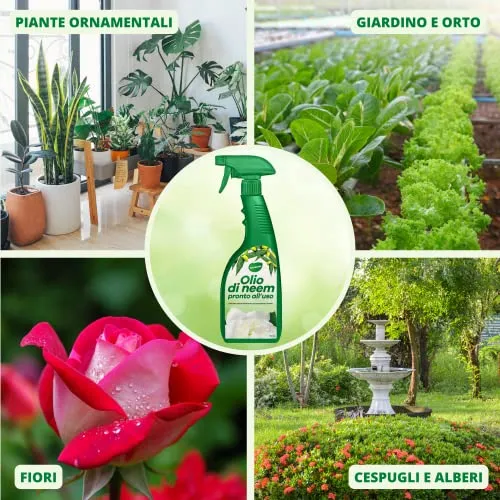 Gardemia Olio di Neem Spray per Piante 750ml Pronto Uso Azione Naturale contro varie Avversità Giardino Casa Multiuso Estratto Meccanicamente con Pressatura a Freddo Straordinarie Proprietà Naturali