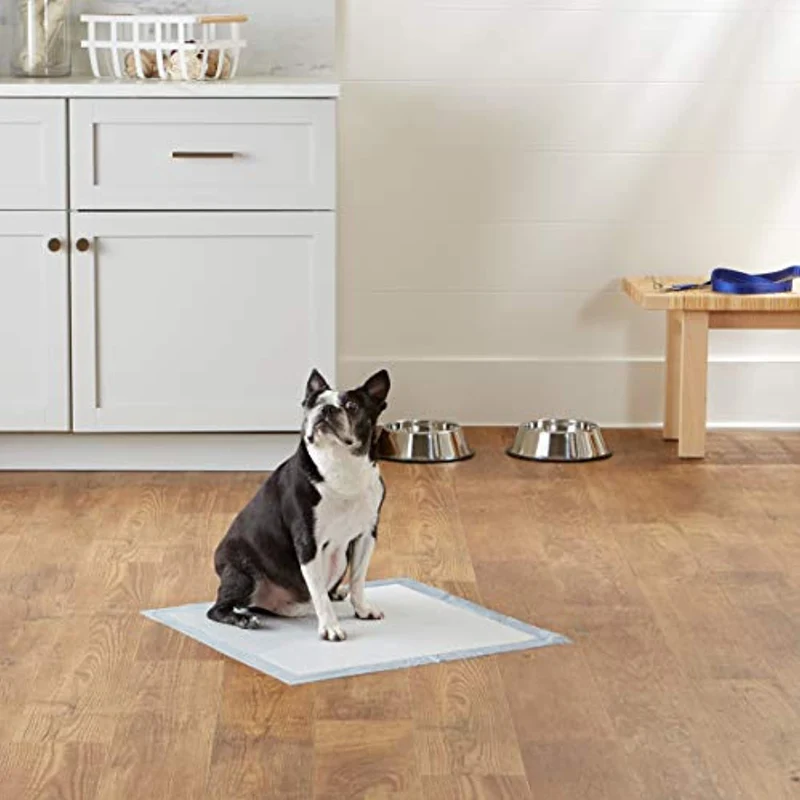 Amazon Basics - Tappetini igienici assorbenti per animali domestici, misura standard, 100 pz