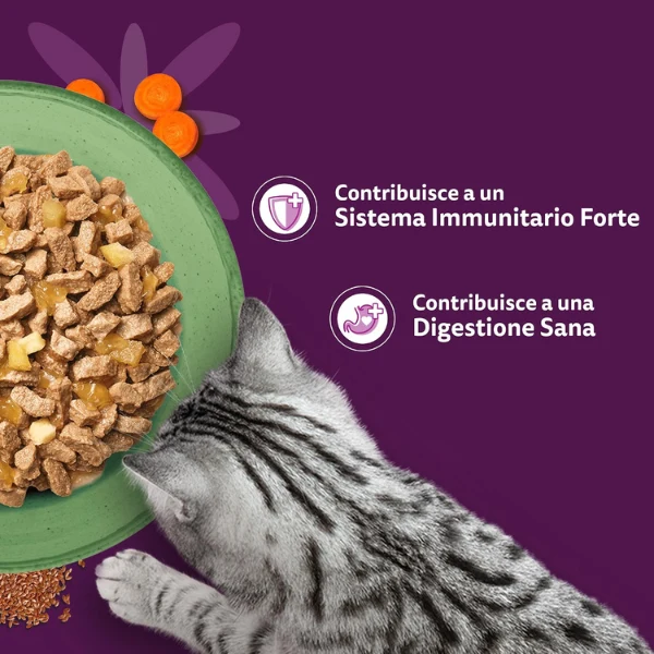 Whiskas Superfoods Mix in gelatina Multipack 50x50 gr