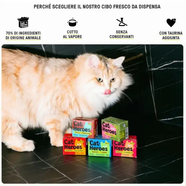 Cat Heroes Adult Patè Grain free cibo fresco da dispensa 95 gr