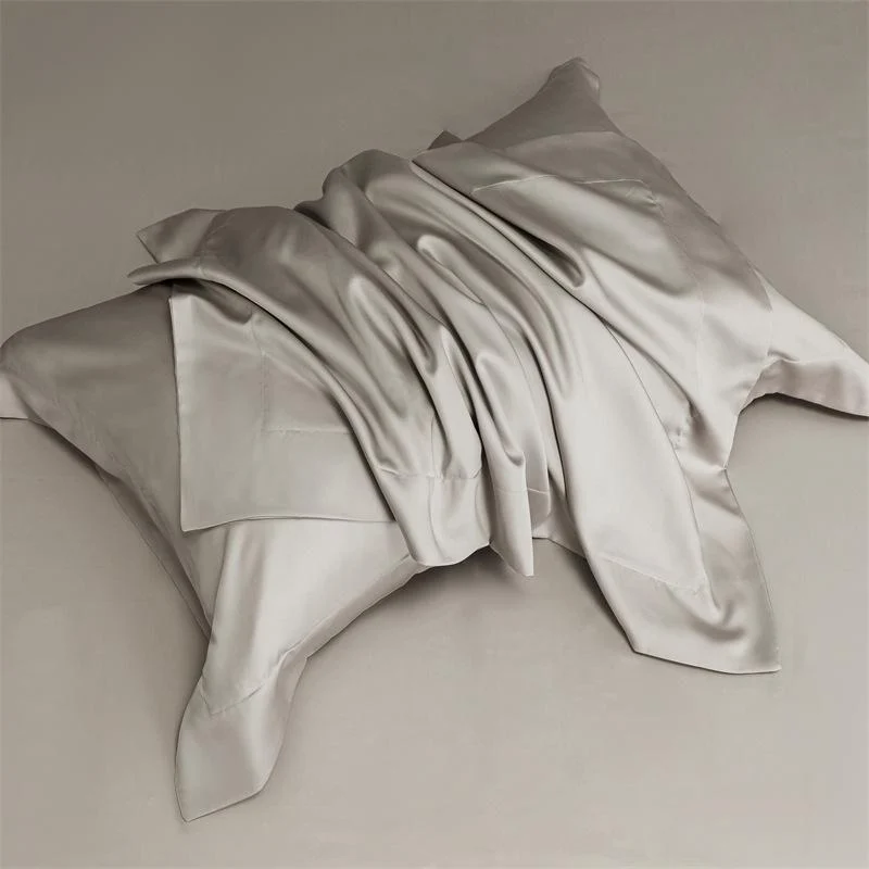 2 Pack for Silk Pillowcase for Hair and Skin, Natural Silk Pillow Case with Zipper, Both Sided Pure Silk Pillow Cover for Women