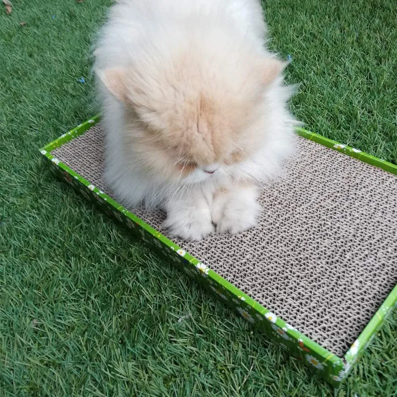 Croci Margherita - Tappeto Tiragraffi per Gatti Adulti, Grandi e Piccoli in Casa, Tappetino con Graffiatoio Calmante Gatto in Cartone Utilizzabile su Due Lati e Busta di Erba Gatta Pronta