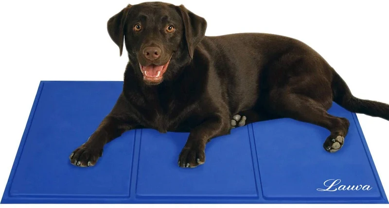 Lauva Tappetino Rinfrescante per Cane , Tappeto in Gel Autorinfrescante Grande–Auto Raffreddamento Gel Non Tossico Giaciglio Rinfrescante per Cani, Gatti, Animali Domestici -36 "X 20"(90 X 50CM)