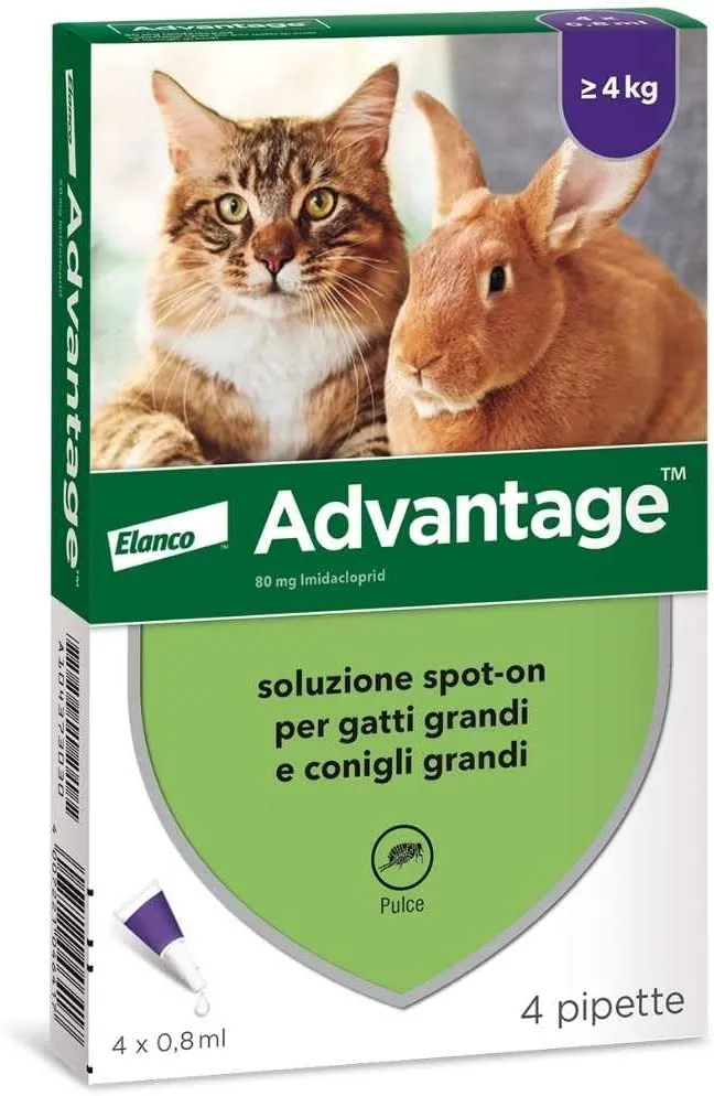 Advantage Soluzione Spot-On Gatti/Con. 4 Pipette, 0.8 ml