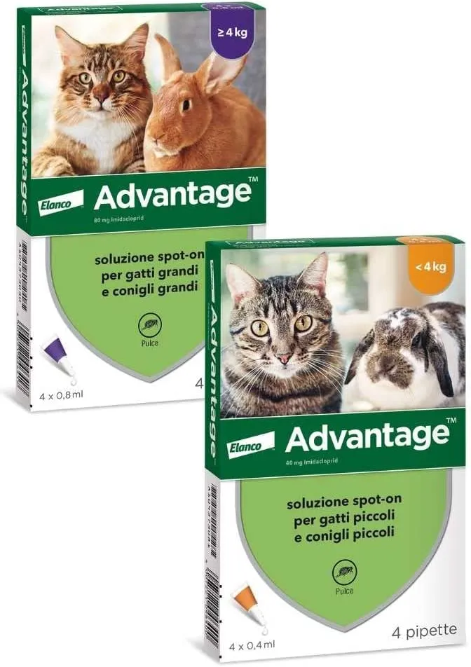 Advantage Soluzione Spot-On Gatti/Con. 4 Pipette, 0.8 ml