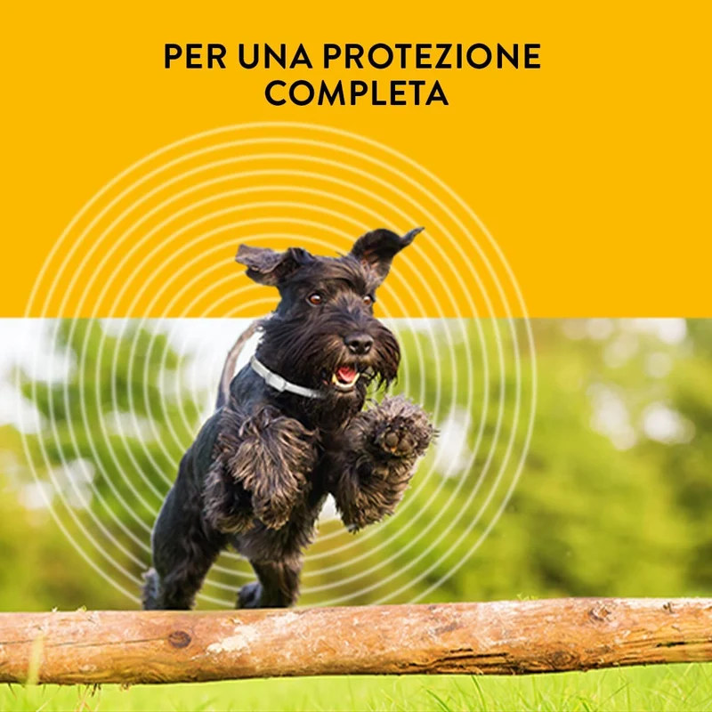 Scalibor Collare Antiparassitario per Cani, 65cm