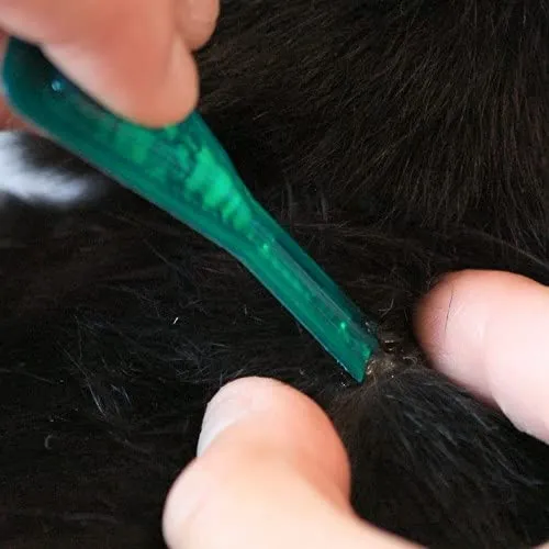Frontline Combo, Pipette, Antiparassitario per Gatti, Gattini e Furetti di Lunga Durata, Protegge da Pulci, Zecche, Uova, Larve e Anche la Casa, Antipulci In Confezione da 0.5 ml