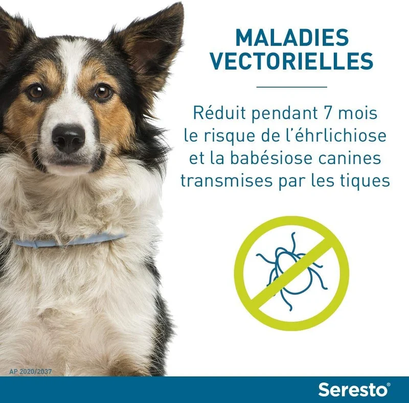 Seresto Collare per Cani fino a 8Kg