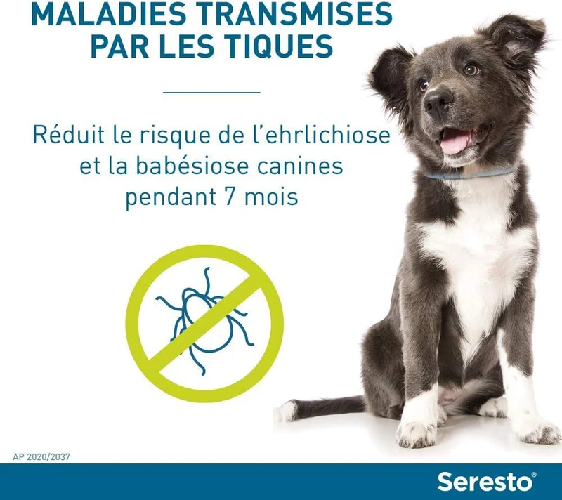 Seresto Collare per Cani fino a 8Kg
