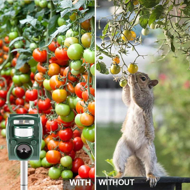 zonpor Repellente per Gatti, Ultrasuoni Solare Repellente Gatti Repeller per Piccioni, Uccelli, Cani, Gatti, Topi，Volpi，5 Modalità, IP44 Impermeabile