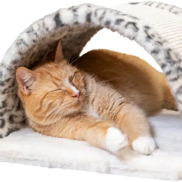 Ponte tiragraffi Leo in peluche e juta con pallina integrata Trixie