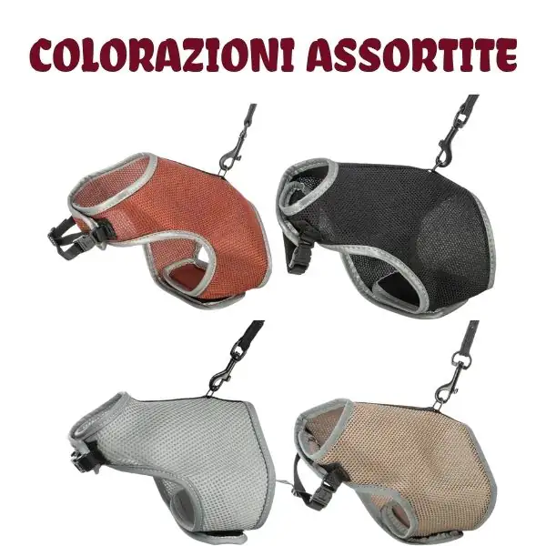 Parure per gatti pettorina + guinzaglio trasprirante Trixie