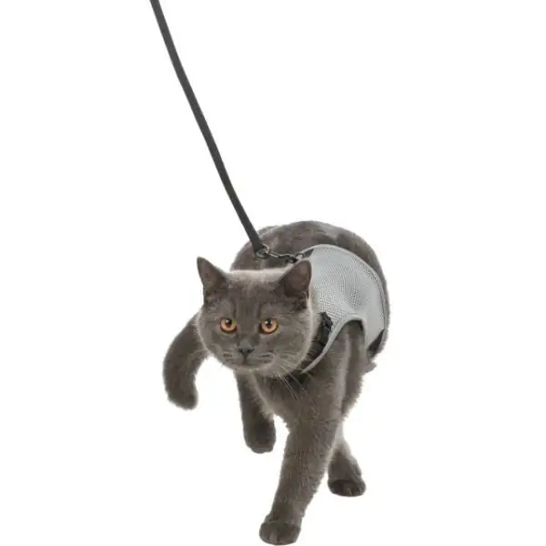 Parure per gatti pettorina + guinzaglio trasprirante Trixie