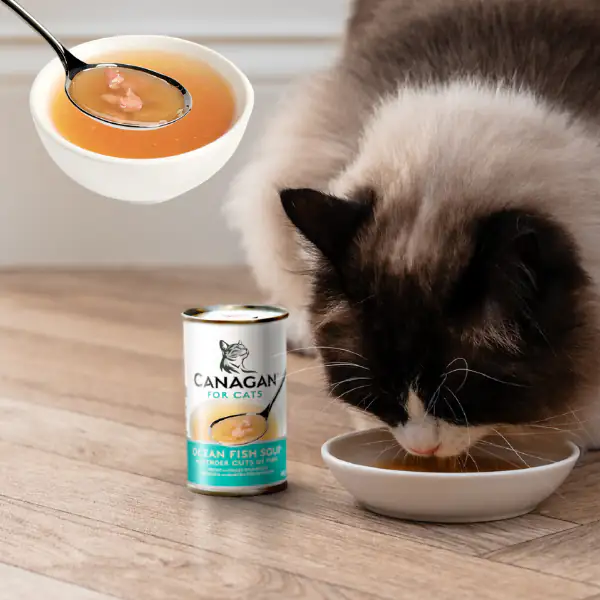 Canagan for Cats Kitten & Adult Zuppe di pesce 140 gr