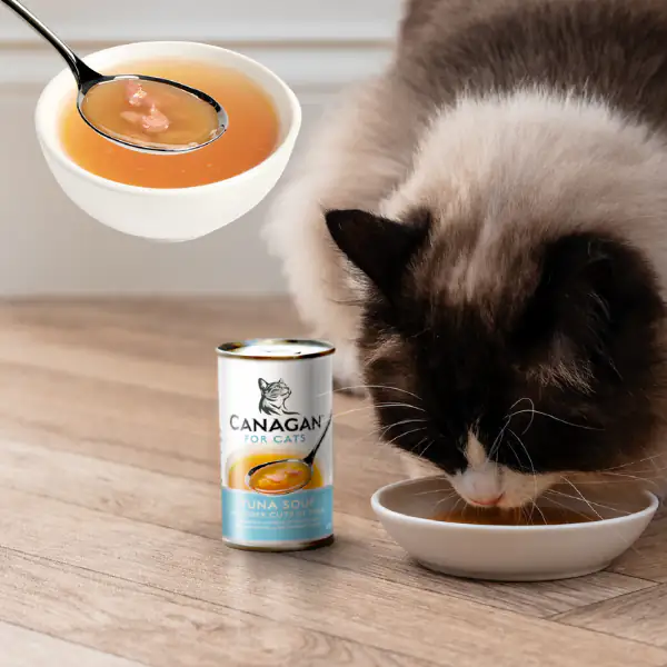 Canagan for Cats Kitten & Adult Zuppe di pesce 140 gr