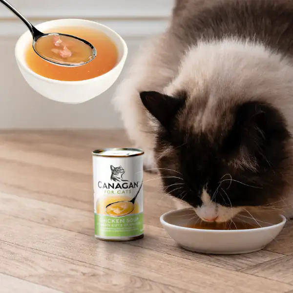 Canagan for Cats Kitten & Adult Zuppe di pesce 140 gr