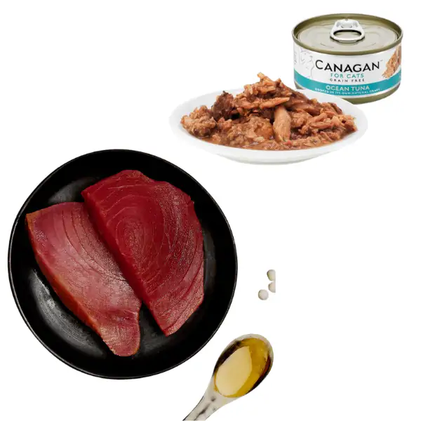 Canagan for Cats All Life Grain Free Filetti in acqua di cottura 75 gr