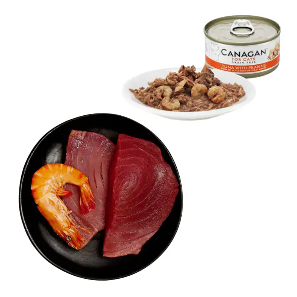 Canagan for Cats All Life Grain Free Filetti in acqua di cottura 75 gr