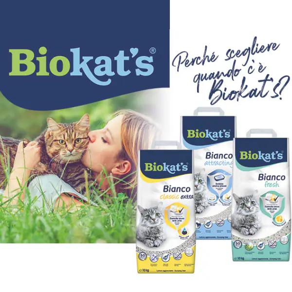 Lettiera agglomerante per gatti in bentonite Biokat's Bianco