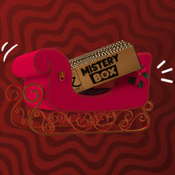 XMAS Bauzaar Mistery Box