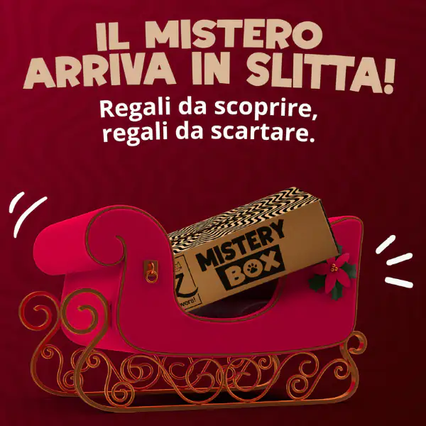 XMAS Bauzaar Mistery Box